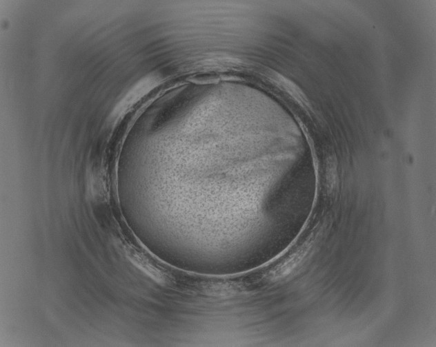 X0000074211018200609081525