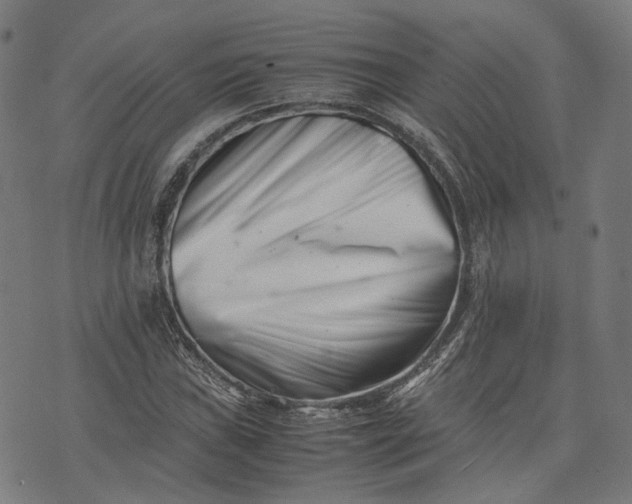 X0000074211019200609081525