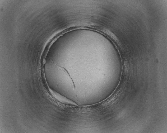 X0000074211020200609081525