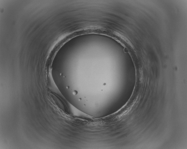 X0000074211021200609081526