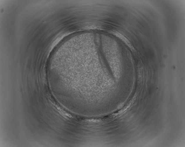 X0000074211023200609081526