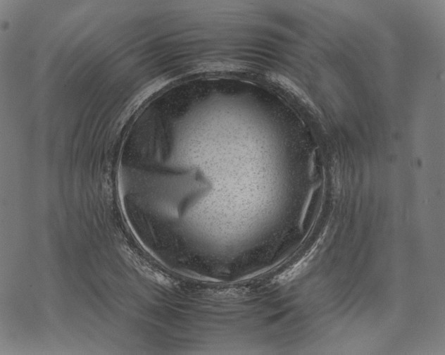 X0000074211025200609081526