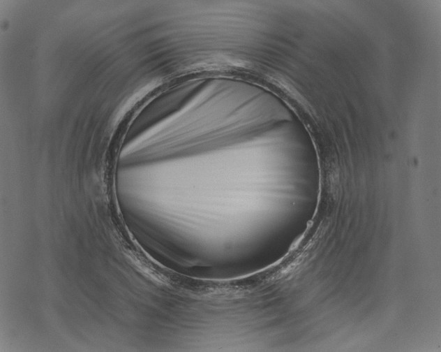 X0000074211026200609081526