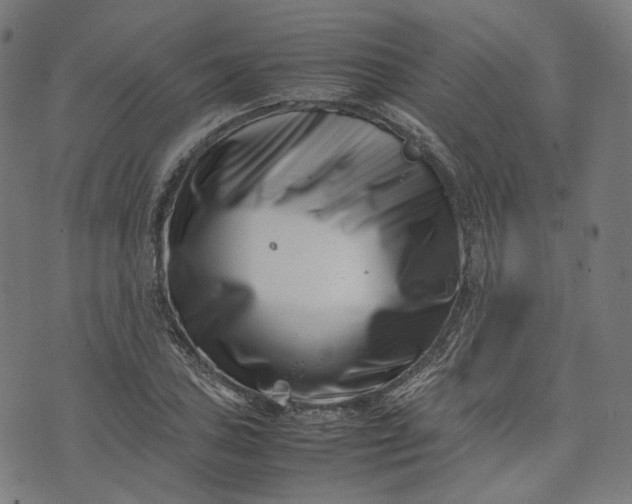 X0000074211027200609081526