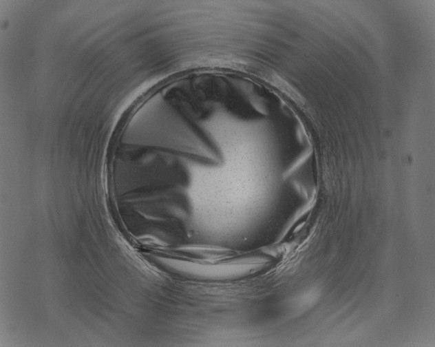 X0000074211028200609081526