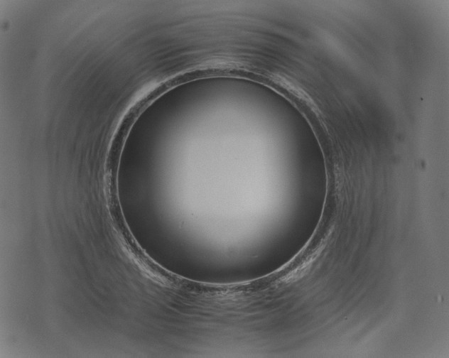 X0000074211029200609081526