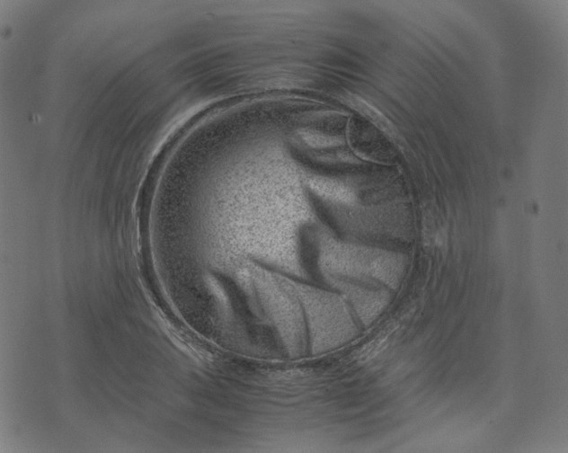 X0000074211031200609081526