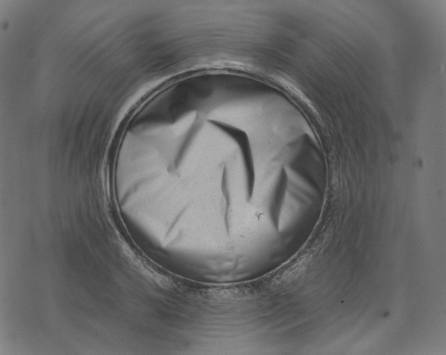 X0000074211032200609081526