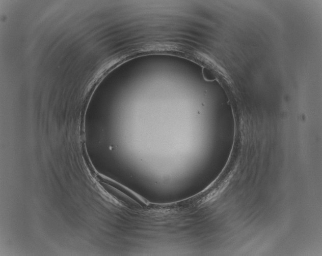 X0000074211033200609081526