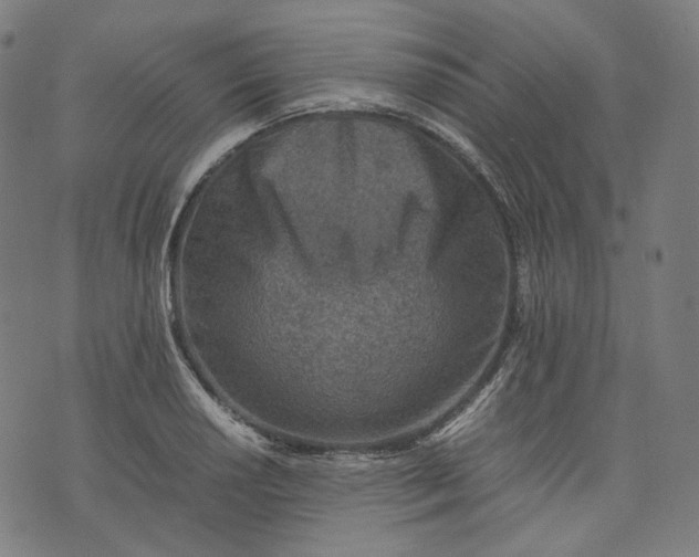 X0000074211034200609081526