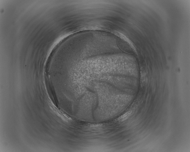 X0000074211035200609081526