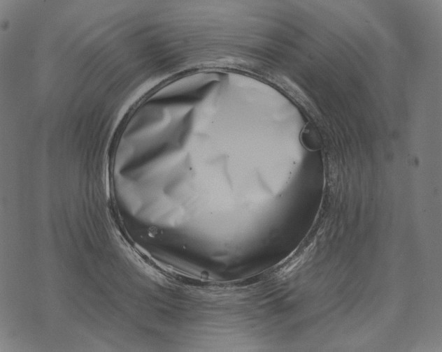 X0000074211036200609081526