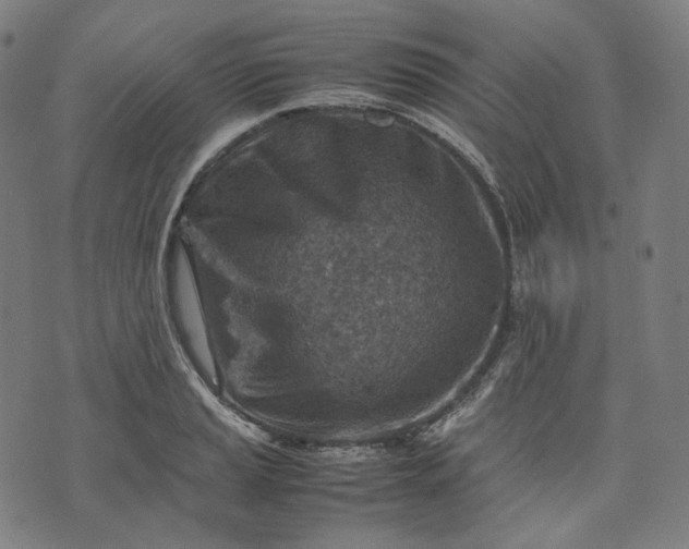 X0000074211037200609081526