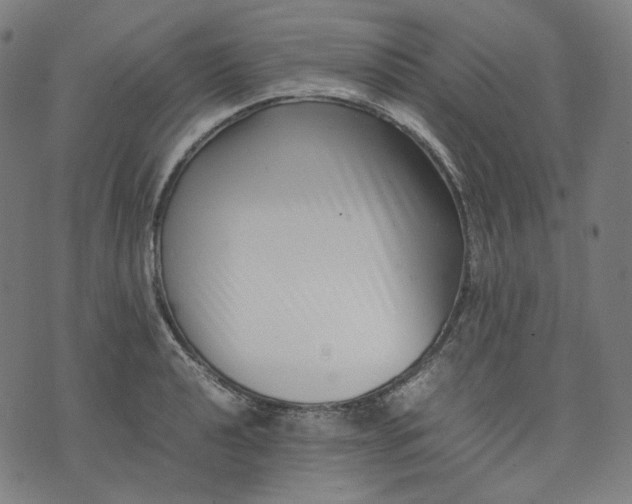 X0000074211040200609081526