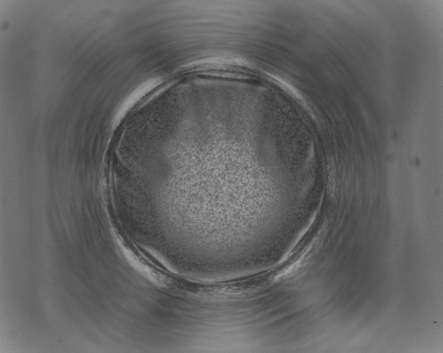 X0000074211042200609081526