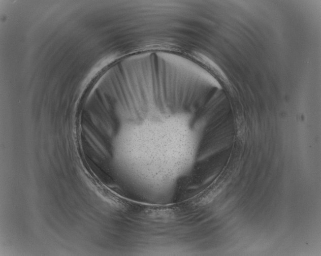 X0000074211043200609081526