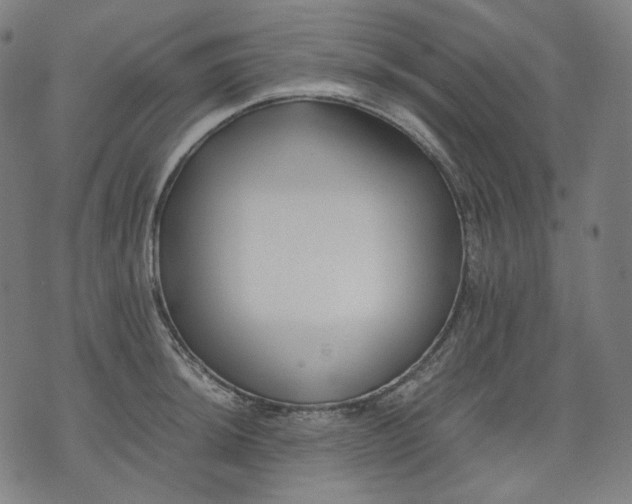 X0000074211044200609081526