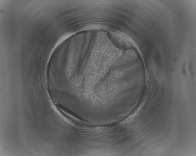 X0000074211045200609081526