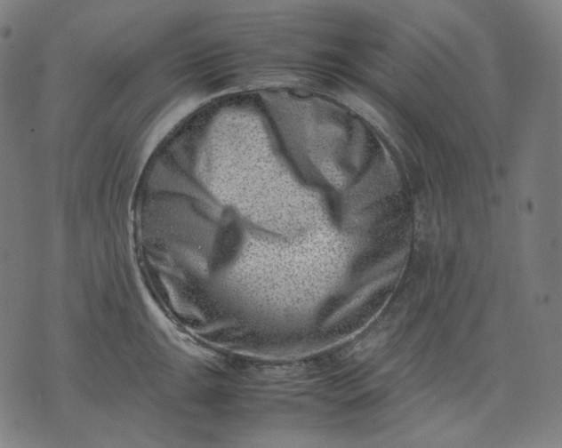 X0000074211047200609081526