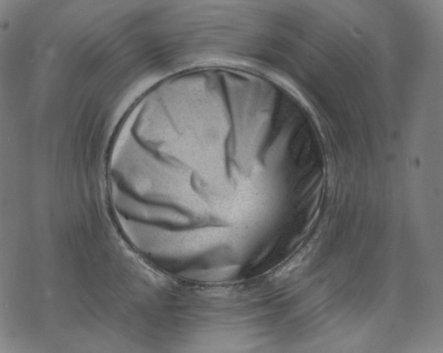 X0000074211048200609081526