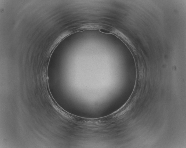 X0000074211049200609081526