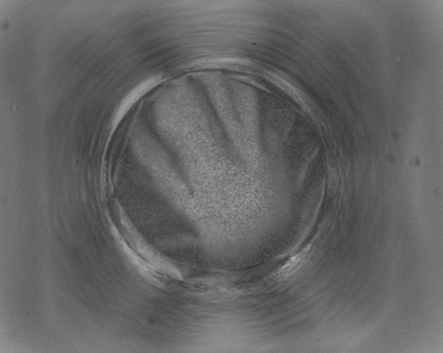 X0000074211050200609081526