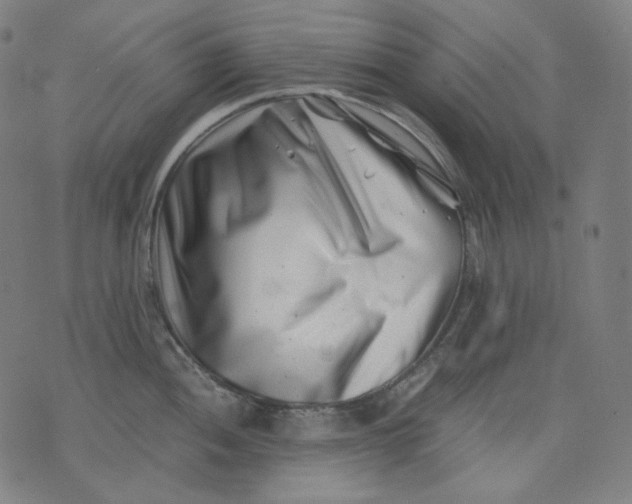 X0000074211052200609081526