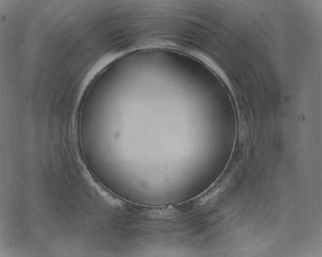 X0000074211053200609081526