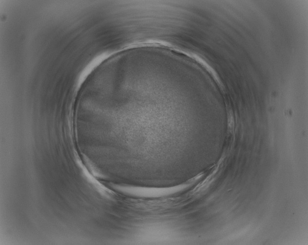 X0000074211054200609081526