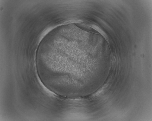 X0000074211055200609081526