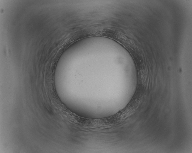 X0000074211057200609081525