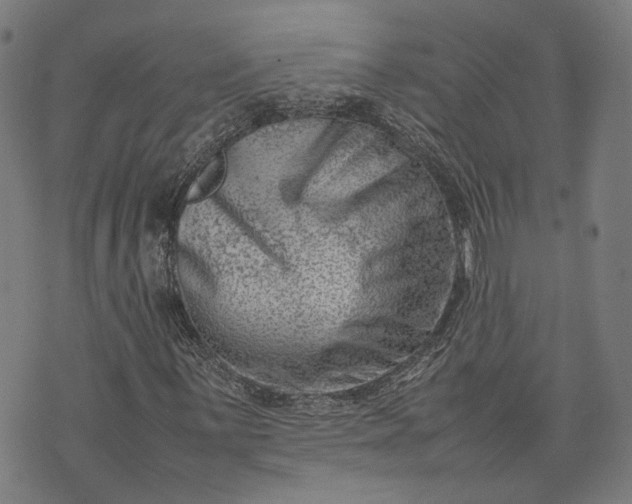 X0000074211059200609081525