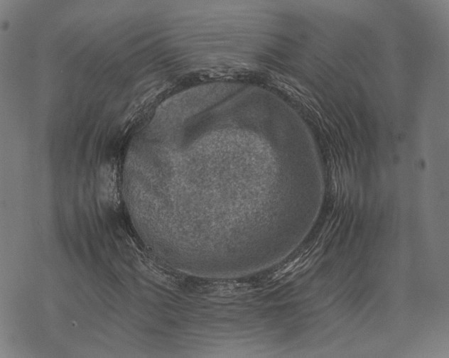 X0000074211060200609081525