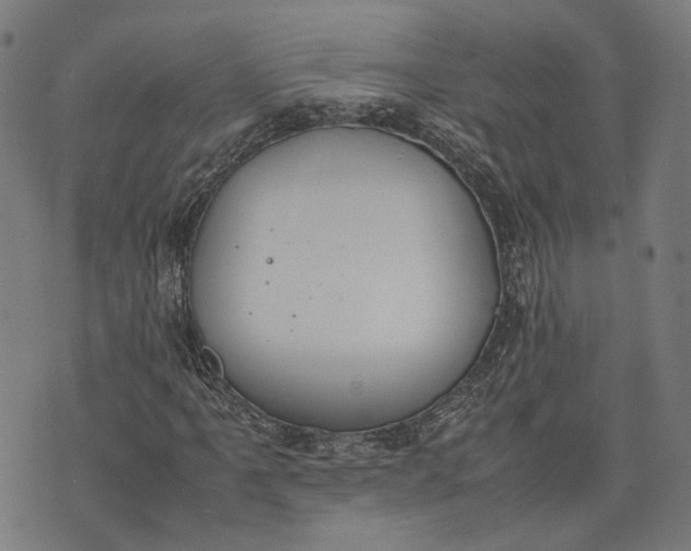 X0000074211061200609081525