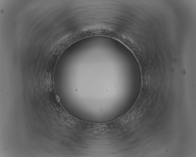 X0000074211062200609081525