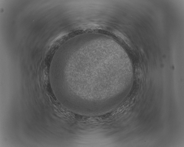 X0000074211063200609081525