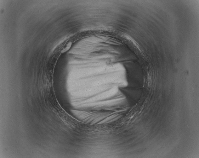 X0000074211064200609081525