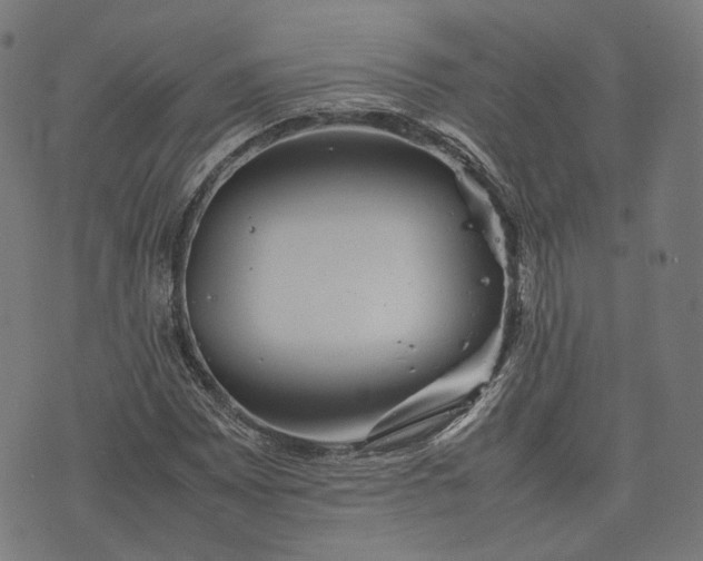 X0000074211065200609081525