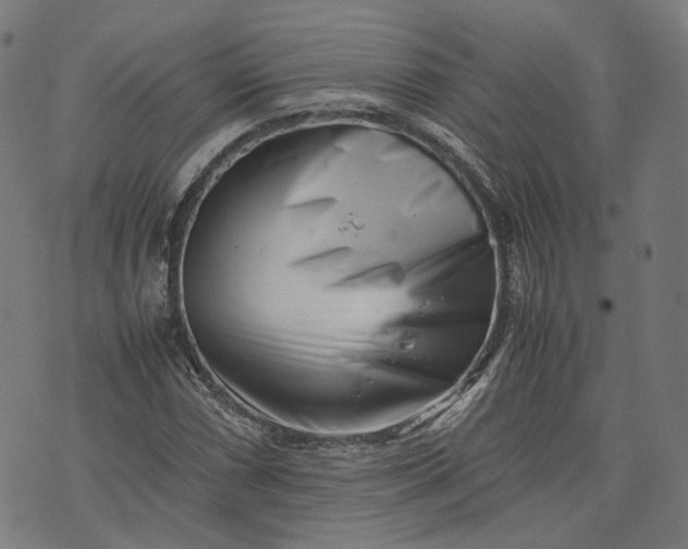 X0000074211066200609081525