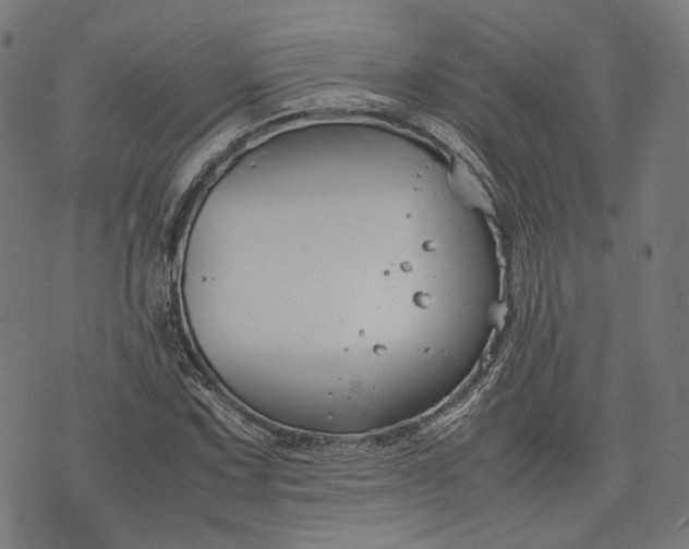 X0000074211067200609081525