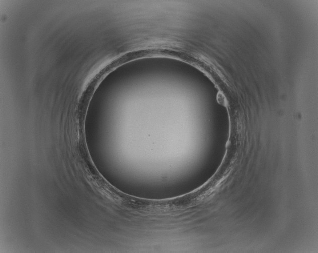 X0000074211069200609081525