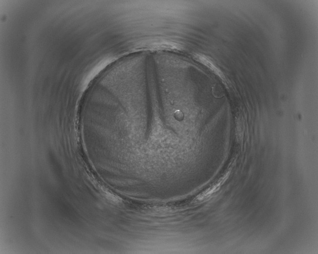 X0000074211071200609081525