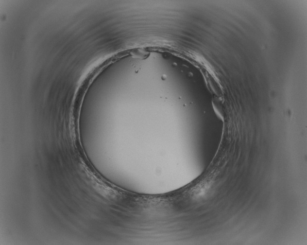 X0000074211072200609081525