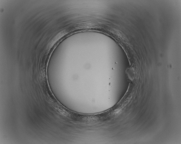 X0000074211073200609081525