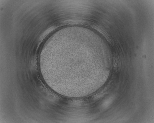 X0000074211074200609081525