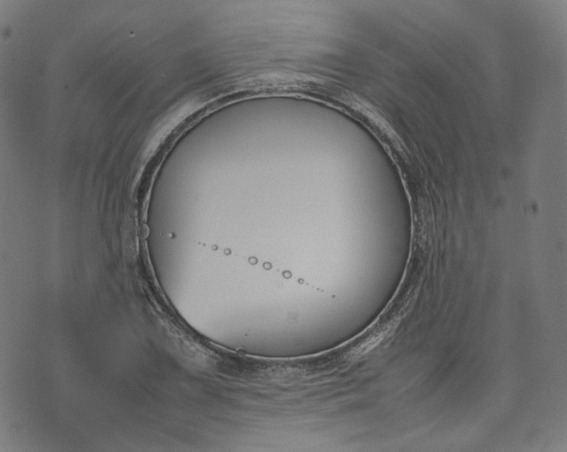 X0000074211075200609081525