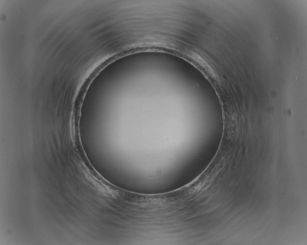 X0000074211076200609081525