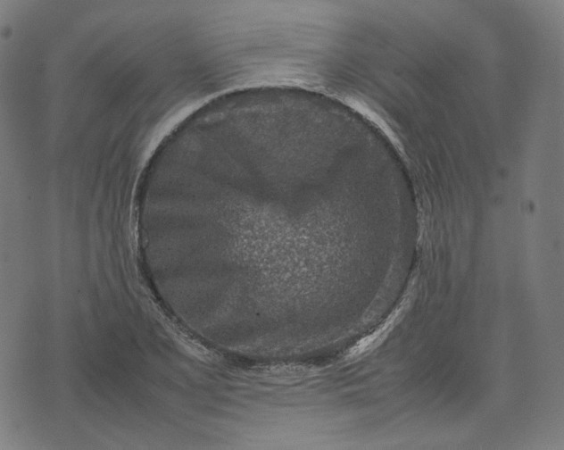 X0000074211077200609081525