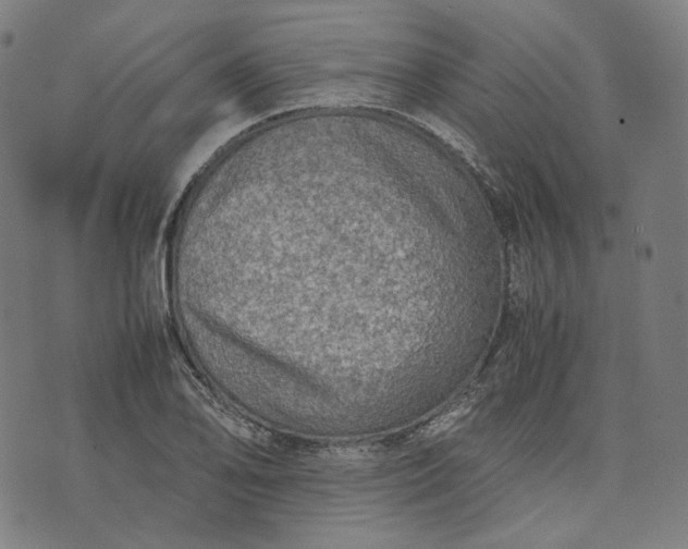 X0000074211078200609081525