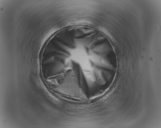 X0000074211079200609081525